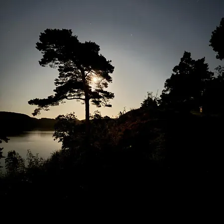Familiehytte Med Bat Inkludert *