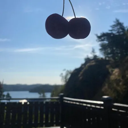 Familiehytte Med Bat Inkludert